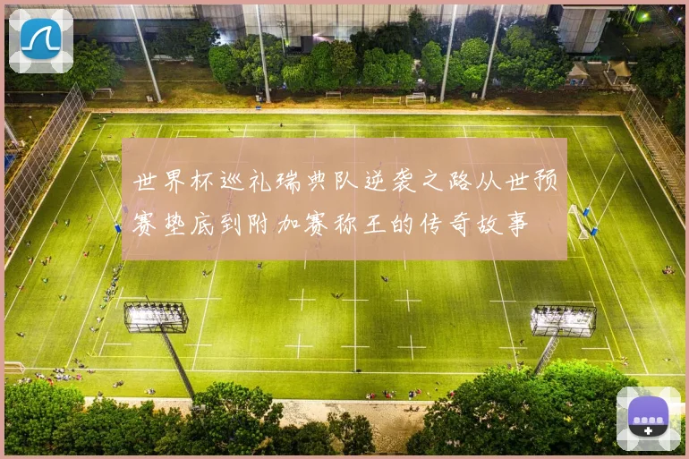 世界杯巡礼瑞典队逆袭之路从世预赛垫底到附加赛称王的传奇故事