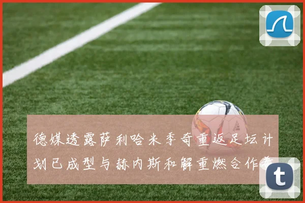 德媒透露萨利哈米季奇重返足坛计划已成型与赫内斯和解重燃合作希望
